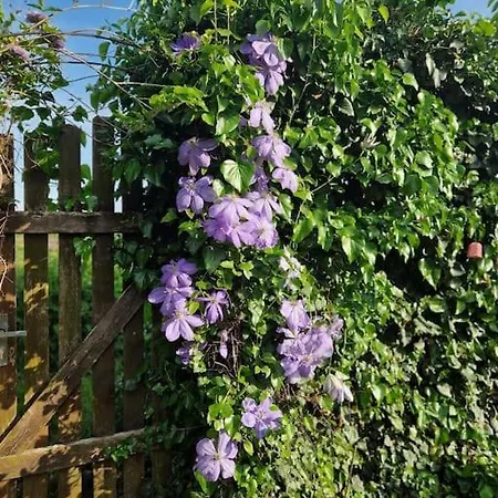 House With 3 Bedrooms And Pool Nyaraló