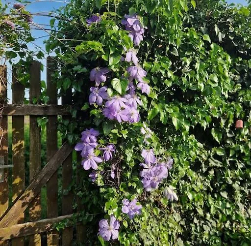 House With 3 Bedrooms And Pool Casa de Férias